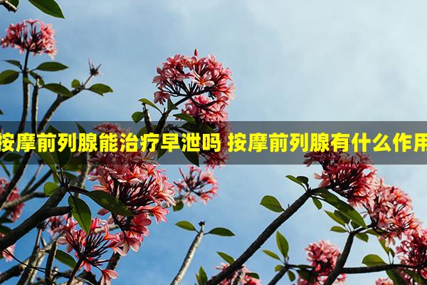 按摩前列腺能治疗早泄吗 按摩前列腺有什么作用